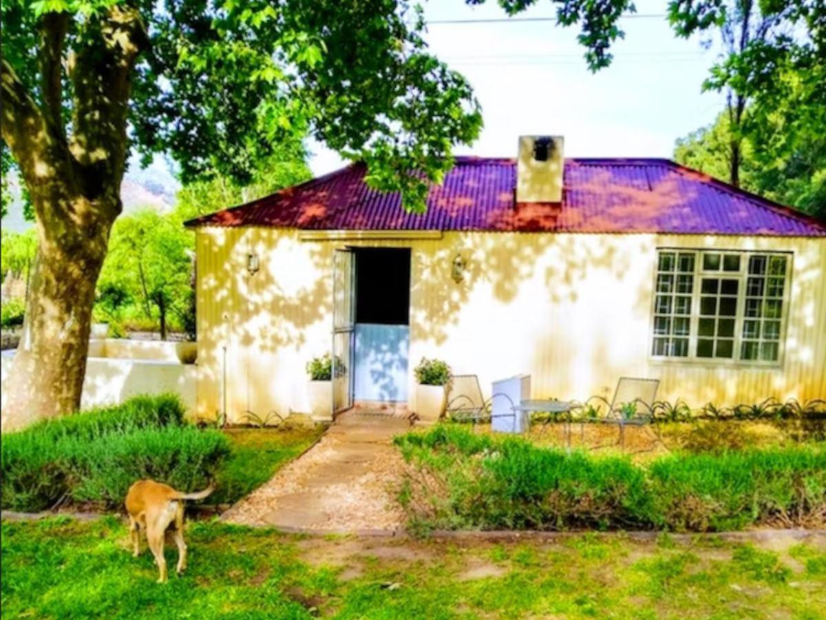 Cabernet Cottage Be Still And Know Franschhoek Exteriér fotografie
