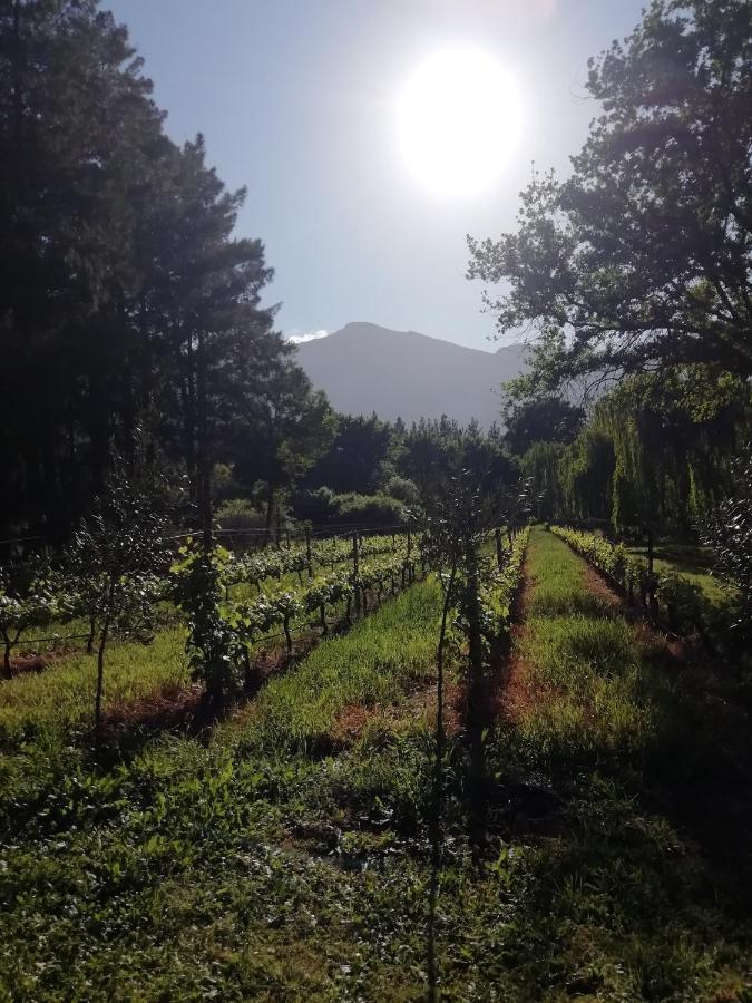 Cabernet Cottage Be Still And Know Franschhoek Exteriér fotografie