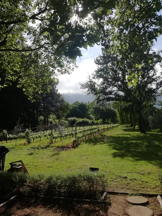 Cabernet Cottage Be Still And Know Franschhoek Exteriér fotografie