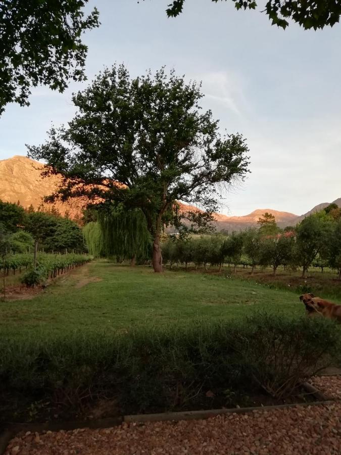 Cabernet Cottage Be Still And Know Franschhoek Exteriér fotografie
