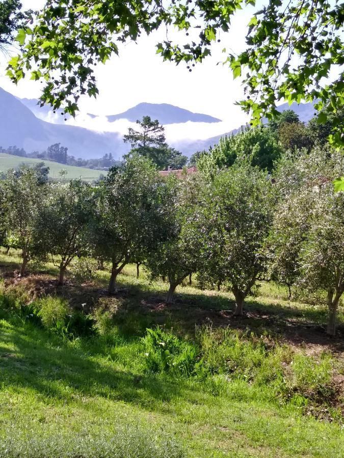 Cabernet Cottage Be Still And Know Franschhoek Exteriér fotografie